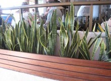 Kwikfynd Plants
docker