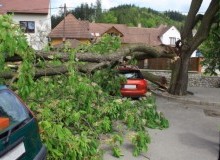 Kwikfynd Tree Cutting Services
docker