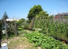 Kwikfynd Vegetable Gardens
docker